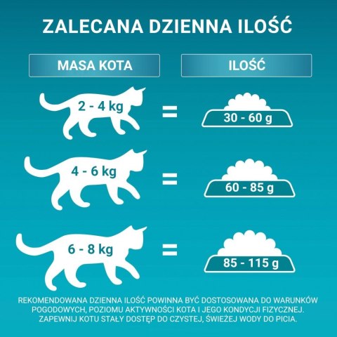 PURINA One Bifensis Adult Bogata w Kurczaka i Pełne Ziarna - sucha karma dla kota - 800 g PURINA One Bifensis Adult Bogata w Kurczaka i Pełne Ziarna - sucha karma dla kota - 800 g
