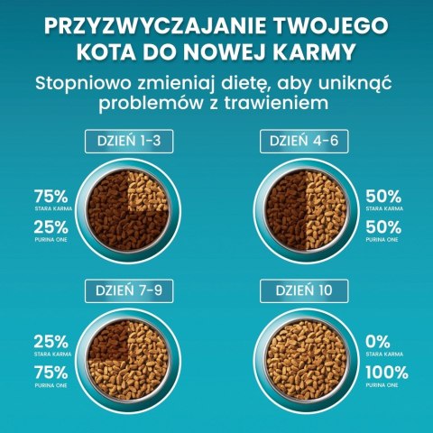 PURINA One Bifensis Adult Bogata w Kurczaka i Pełne Ziarna - sucha karma dla kota - 800 g PURINA One Bifensis Adult Bogata w Kurczaka i Pełne Ziarna - sucha karma dla kota - 800 g
