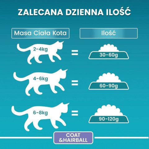 PURINA One Bifensis Coat & Hairball Kurczak - sucha karma dla kota - 800 g PURINA One Bifensis Coat & Hairball Kurczak - sucha karma dla kota - 800 g