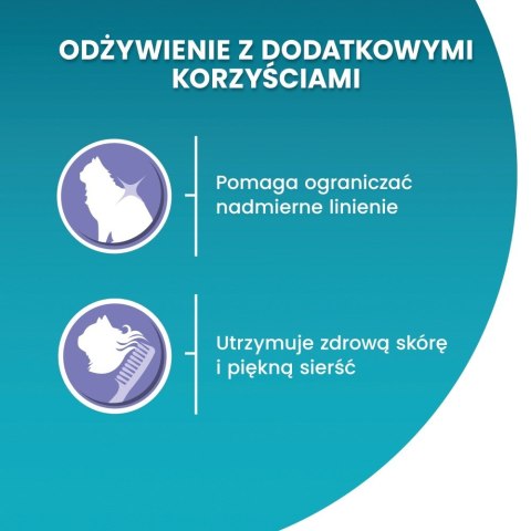 PURINA One Bifensis Coat & Hairball Kurczak - sucha karma dla kota - 800 g PURINA One Bifensis Coat & Hairball Kurczak - sucha karma dla kota - 800 g