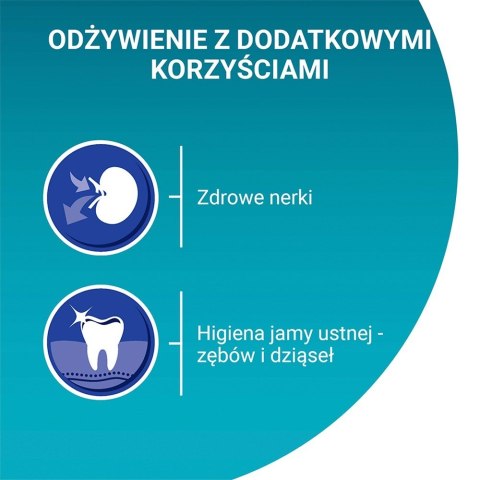 PURINA One Bifensis Senior 7+ Bogata w Kurczaka i Pełne Ziarna - sucha karma dla kota - 800 g PURINA One Bifensis Senior 7+ Bogata w Kurczaka i Pełne Ziarna - sucha karma dla kota - 800 g