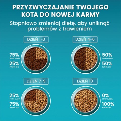 PURINA One Bifensis Senior 7+ Bogata w Kurczaka i Pełne Ziarna - sucha karma dla kota - 800 g PURINA One Bifensis Senior 7+ Bogata w Kurczaka i Pełne Ziarna - sucha karma dla kota - 800 g