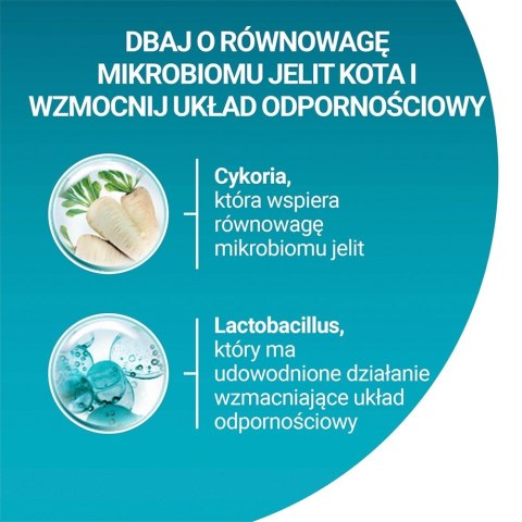 PURINA One Bifensis Senior 7+ Bogata w Kurczaka i Pełne Ziarna - sucha karma dla kota - 800 g PURINA One Bifensis Senior 7+ Bogata w Kurczaka i Pełne Ziarna - sucha karma dla kota - 800 g