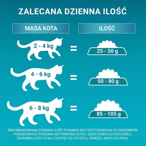 PURINA One Bifensis Senior 7+ Bogata w Kurczaka i Pełne Ziarna - sucha karma dla kota - 800 g PURINA One Bifensis Senior 7+ Bogata w Kurczaka i Pełne Ziarna - sucha karma dla kota - 800 g