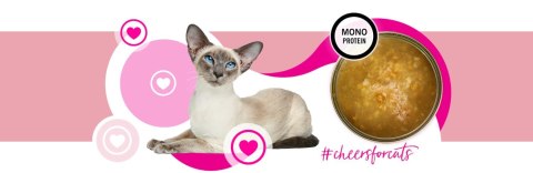 3Coty TURKEY Cheers! Complementary feed for cats 75g 3Coty TURKEY Cheers! Complementary feed for cats 75g