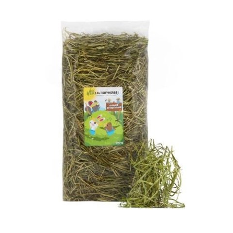 FACTORYHERBS Sianko tymotkowe (Zbiór2025) 500g FACTORYHERBS Sianko tymotkowe (Zbiór2025) 500g