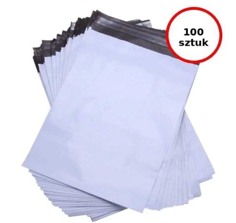 BSTech Foliopak koperta foliowa mocna 50mic 240x325 100 szt FB02 C4 BSTech Foliopak koperta foliowa mocna 50mic 240x325 100 szt FB02 C4