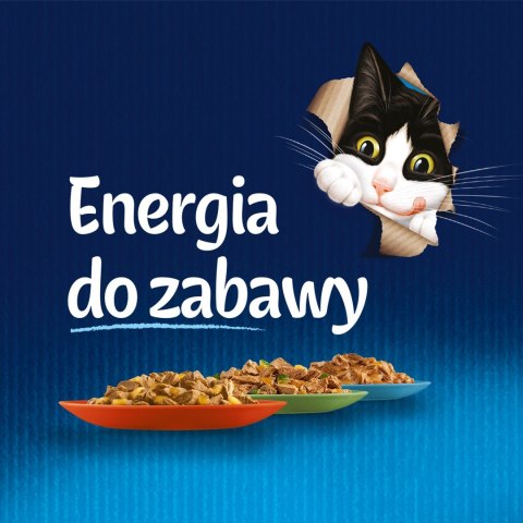 Purina Felix Sensations Sauce z indykiem w sosie o smaku bekonu - mokra karma dla kota - saszetka 85 g