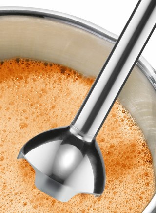 Blender ręczny BOSCH MSM 24100