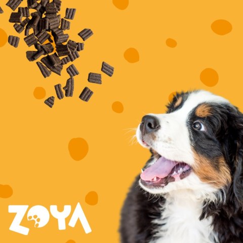 ZOYA COLDPRO Jagnięcina sucha karma dla psa 3kg ZOYA COLDPRO Jagnięcina sucha karma dla psa 3kg