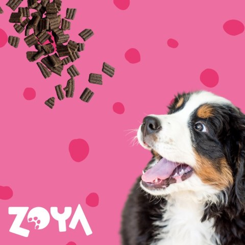ZOYA COLDPRO Wołowina sucha karma dla psa 3kg ZOYA COLDPRO Wołowina sucha karma dla psa 3kg