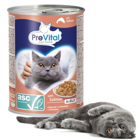 PREVITAL - Z łososiem ASC w galaretce - Pełnoporcjowa karma dla dorosłych kotów - 0.415g PREVITAL - Z łososiem ASC w galaretce - Pełnoporcjowa karma dla dorosłych kotów - 0.415g