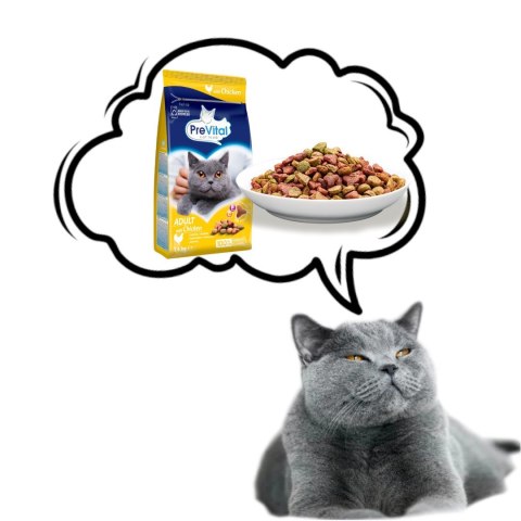 PREVITAL - Z kurczakiem - Pełnoporcjowa karma dla dorosłych kotów - karma sucha - 1,4kg PREVITAL - Z kurczakiem - Pełnoporcjowa karma dla dorosłych kotów - karma sucha - 1,4kg