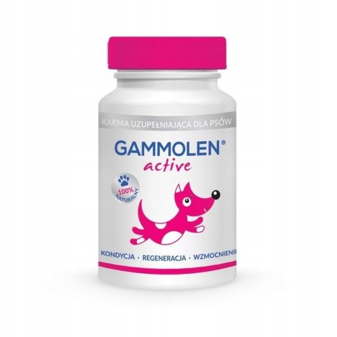 GAMMOLEN Active Suplement dla psów aktywnych 90kaps GAMMOLEN Active Suplement dla psów aktywnych 90kaps