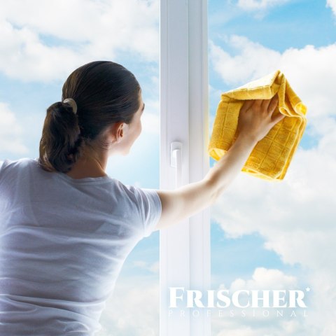 Płyn do mycia szyb Frischer z funkcją antypary 0,5l Płyn do mycia szyb Frischer z funkcją antypary 0,5l