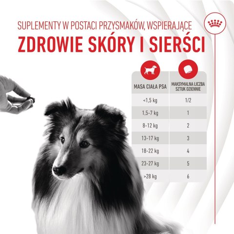 ROYAL CANIN Skin & Coat Adult Dog Supplements 240g