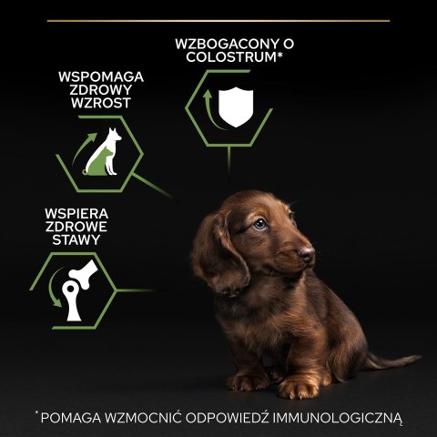 PURINA PRO PLAN Puppy Small & Mini - sucha karma dla szczeniąt - 7kg