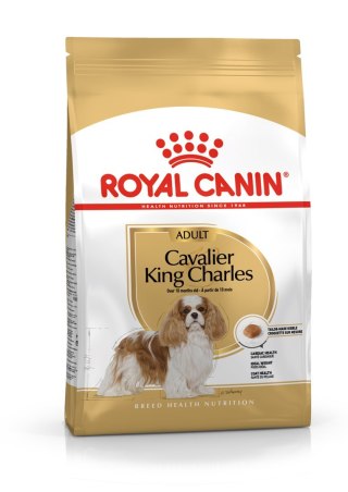 ROYAL CANIN BHN Cavalier King Charles Spaniel Adult - sucha karma dla psa dorosłego - 1,5kg