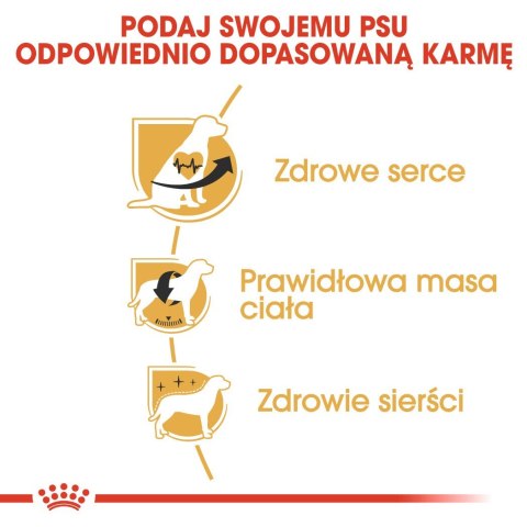 ROYAL CANIN BHN Cavalier King Charles Spaniel Adult - sucha karma dla psa dorosłego - 1,5kg