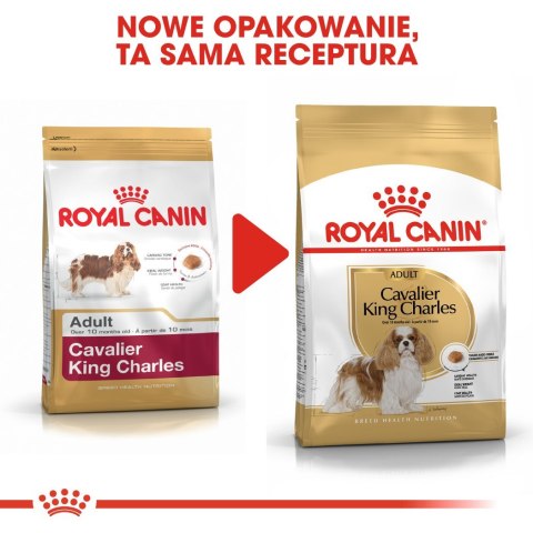 ROYAL CANIN BHN Cavalier King Charles Spaniel Adult - sucha karma dla psa dorosłego - 1,5kg