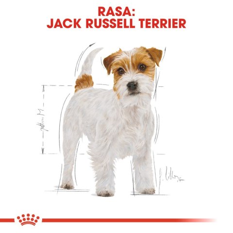 ROYAL CANIN BHN Jack Russell Terrier Adult - sucha karma dla psa dorosłego - 7,5kg