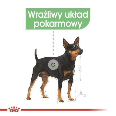 ROYAL CANIN CCN MINI DIGESTIVETIVE CARE - sucha karma dla psa dorosłego - 3kg