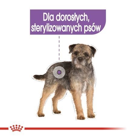 ROYAL CANIN CCN Sterilised Loaf - mokra karma dla psa dorosłego - 12x85 g