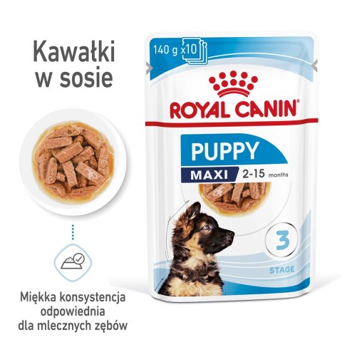 ROYAL CANIN SHN Maxi Puppy w sosie - mokra karma dla szczeniąt - 10x140 g