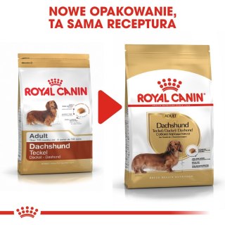 Royal Canin BHN Dachshund Adult - sucha karma dla psa dorosłego - 1,5kg