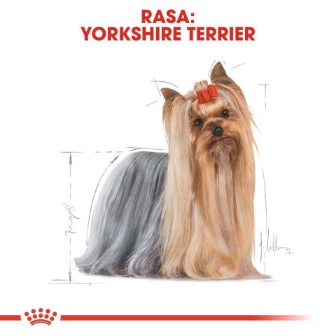 Royal Canin BHN Yorkshire Terrier Adult - sucha karma dla psa dorosłego - 1,5 kg