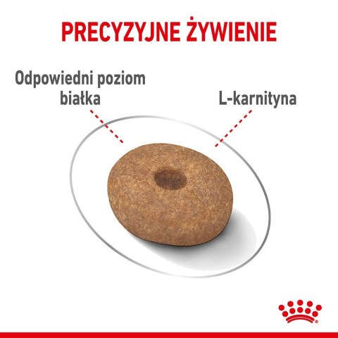 Royal Canin CCN MINI LIGHT WEIGHT CARE - sucha karma dla psa dorosłego - 3kg