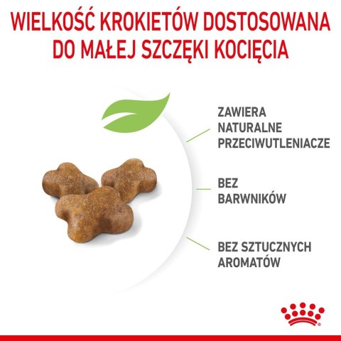 ROYAL CANIN Kitten 36 - sucha karma dla kota - 2 kg (WYPRZEDAŻ)