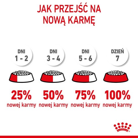 ROYAL CANIN Kitten 36 - sucha karma dla kota - 2 kg (WYPRZEDAŻ)