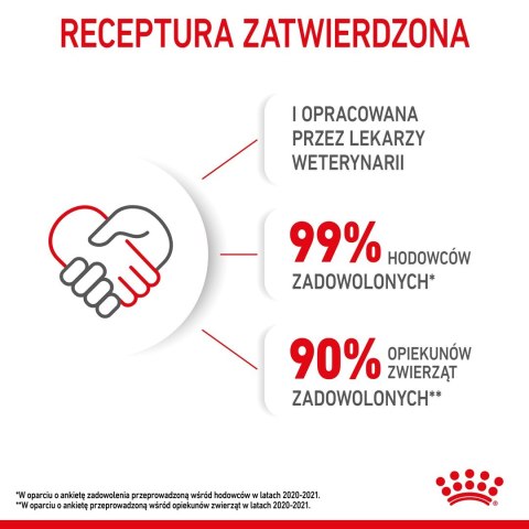 ROYAL CANIN Kitten 36 - sucha karma dla kota - 2 kg (WYPRZEDAŻ)