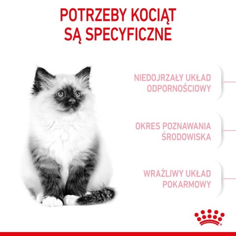 ROYAL CANIN Kitten 36 - sucha karma dla kota - 2 kg (WYPRZEDAŻ)