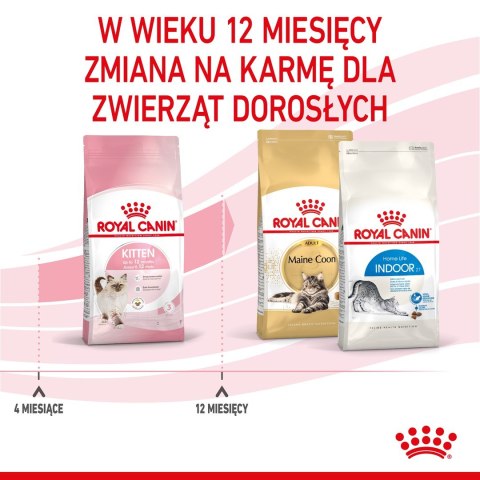 ROYAL CANIN Kitten 36 - sucha karma dla kota - 2 kg (WYPRZEDAŻ)