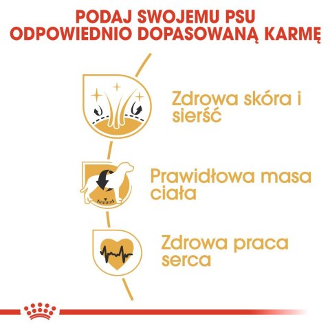 ROYAL CANIN BHN Cocker Adult - sucha karma dla psa dorosłego - 12 kg