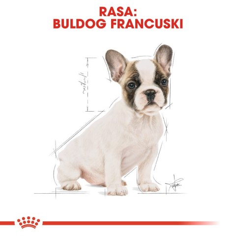 ROYAL CANIN BHN French Bulldog Puppy - sucha karma dla szczeniąt - 3kg