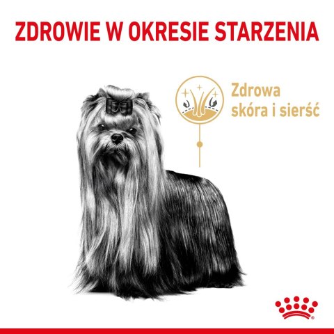 ROYAL CANIN BHN Yorkshire Ageing 8+ - sucha karma dla psa starszego - 1,5kg