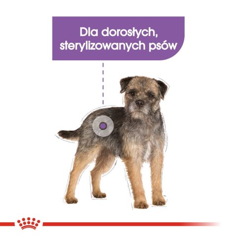 ROYAL CANIN CCN MINI STERILISED - sucha karma dla psa dorosłego - 3kg