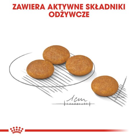 ROYAL CANIN Mini Dermacomfort - karma dla psów dorosłych ras małych - 3kg