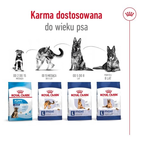 ROYAL CANIN SHN Maxi Adult 5+ - sucha karma dla psa dorosłego - 15 kg