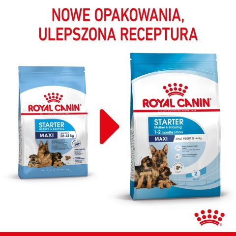 ROYAL CANIN SHN Maxi Starter Mother & Babydog - sucha karma dla psa - 4 kg