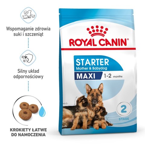 ROYAL CANIN SHN Maxi Starter Mother & Babydog - sucha karma dla psa - 4 kg