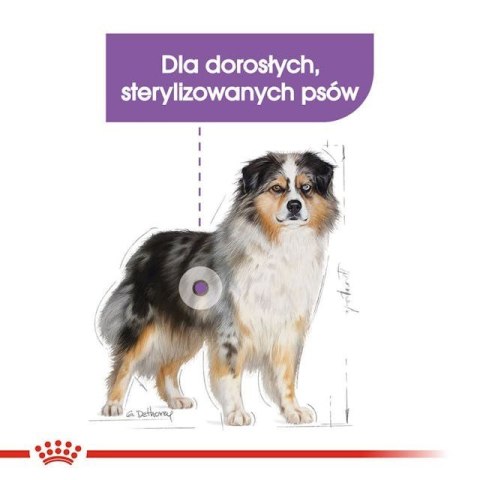 ROYAL CANIN CCN Medium Sterilised Adult - sucha karma dla psa - 12 kg (WYPRZEDAŻ) ROYAL CANIN CCN Medium Sterilised Adult - sucha karma dla psa - 12 kg (WYPRZEDAŻ)