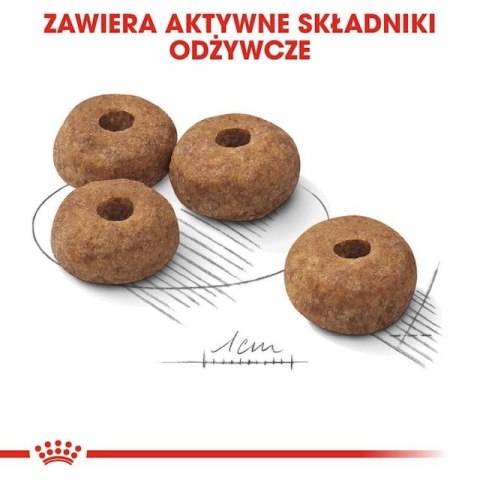 ROYAL CANIN CCN Medium Sterilised Adult - sucha karma dla psa - 12 kg (WYPRZEDAŻ) ROYAL CANIN CCN Medium Sterilised Adult - sucha karma dla psa - 12 kg (WYPRZEDAŻ)