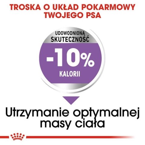 ROYAL CANIN CCN Medium Sterilised Adult - sucha karma dla psa - 12 kg (WYPRZEDAŻ) ROYAL CANIN CCN Medium Sterilised Adult - sucha karma dla psa - 12 kg (WYPRZEDAŻ)