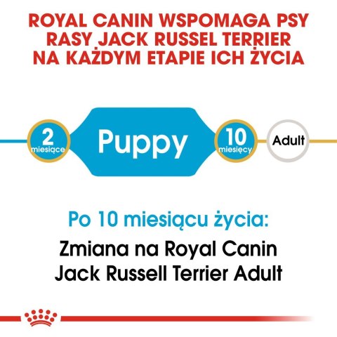 Karma Royal Canin SHN Breed Jack Russ Jun (3 kg )