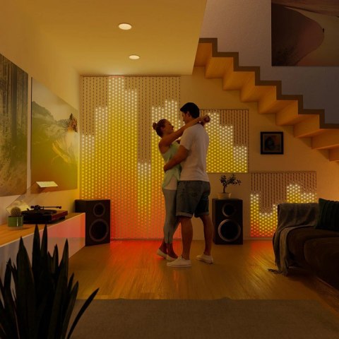 Twinkly Matrix kurtyna świetlna 500 RGB 05 x 2.4 m