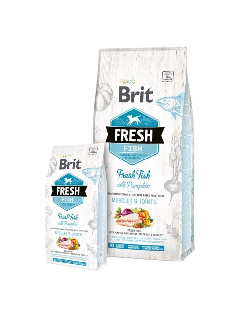 BRIT Fresh Fish & Pumpkin Adult Large muscles & joints 12kg (WYPRZEDAŻ) BRIT Fresh Fish & Pumpkin Adult Large muscles & joints 12kg (WYPRZEDAŻ)